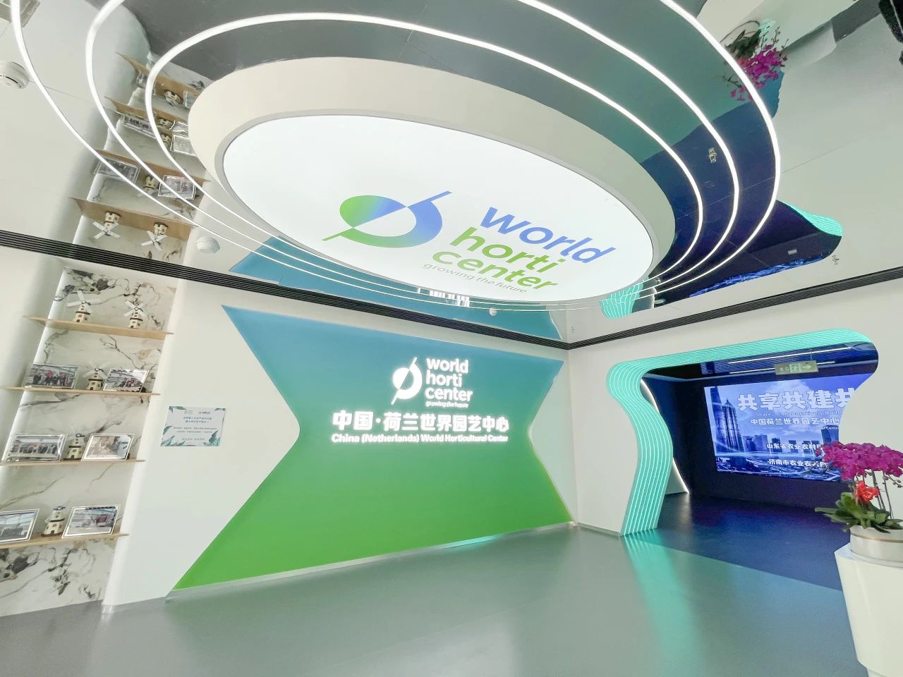 香港全年最全免费资料大全