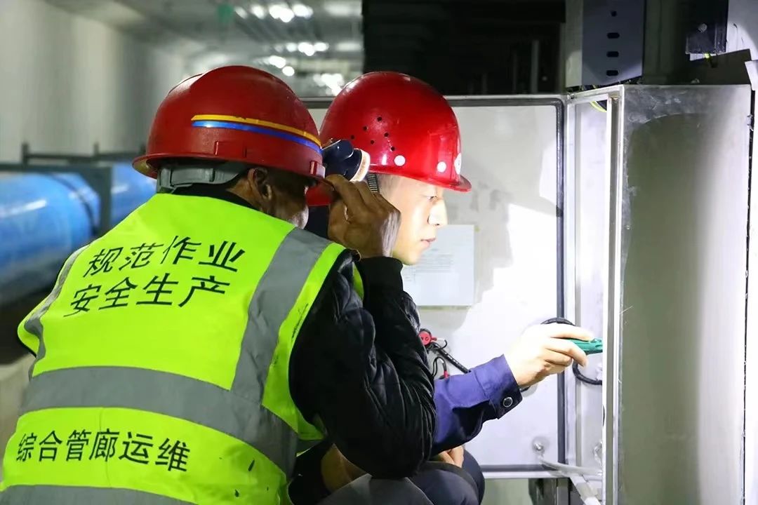 香港全年最全免费资料大全